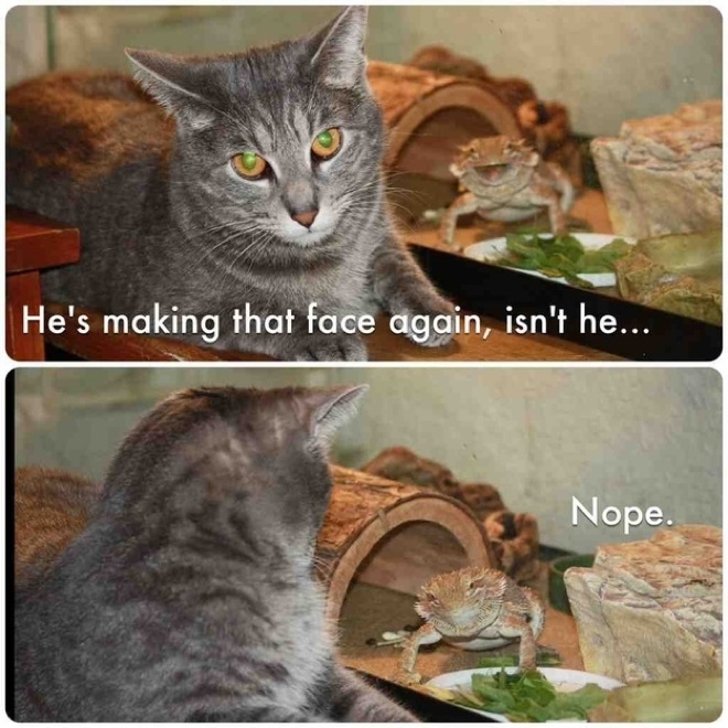 via: imgur.com