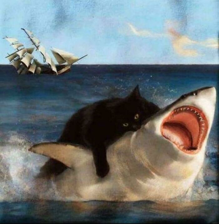 A black cat riding a shark in the ocean with a sailing ship in the background; an unusual sight prompting curiosity. A black cat riding a shark in the ocean with a sailing ship in the background; an unusual sight prompting curiosity.