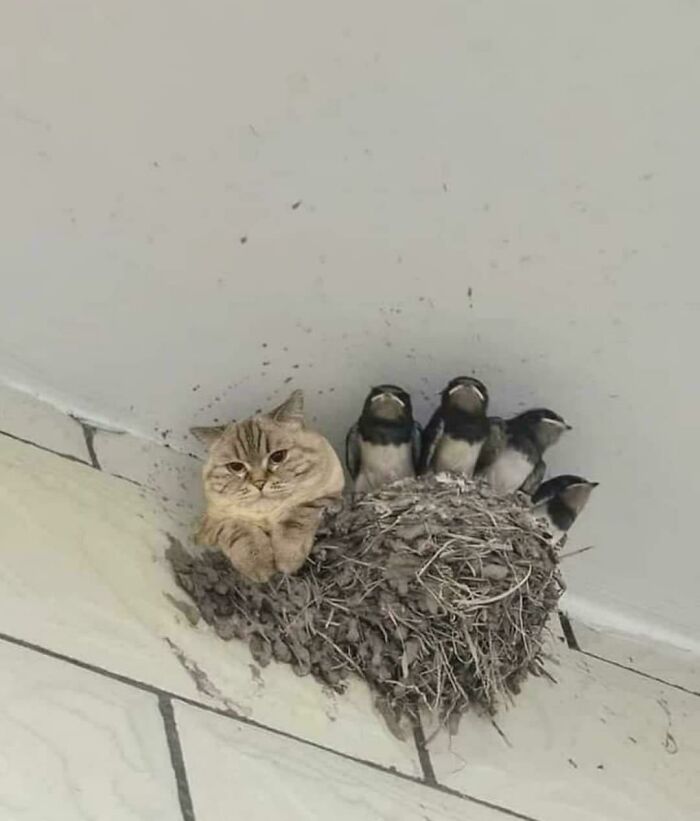 Hmmm Hmmm