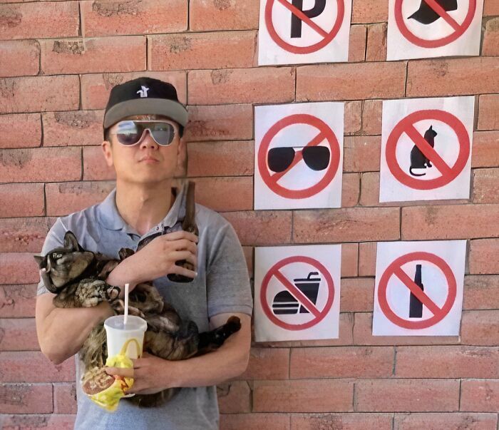 Man holding a cat, drink, and sandwich, standing by no-entry signs, creating a humorous scene that makes one go 'hmmm'. Man holding a cat, drink, and sandwich, standing by no-entry signs, creating a humorous scene that makes one go 'hmmm'.
