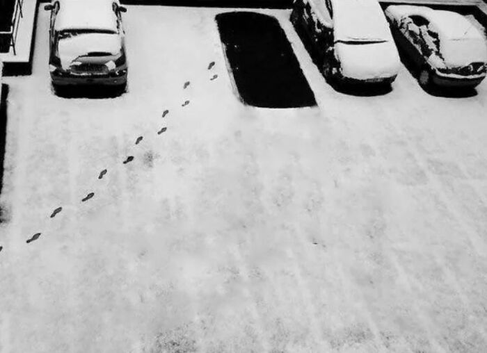 Footprints in snow leading to parked cars, creating a curious and intriguing scene. Footprints in snow leading to parked cars, creating a curious and intriguing scene.